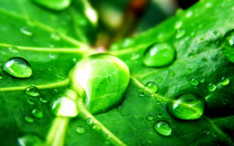 “2?2?/??.??11月最后3天,发现一条不一样的朋友圈”_wishdown.com “2?2?/??.??11月最后3天,发现一条不一样的朋友圈”_wishdown.com