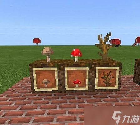 ��ô�ڡ��ҵ����硷������ֲ�� ֲ����ֲ�������ռ�ָ��