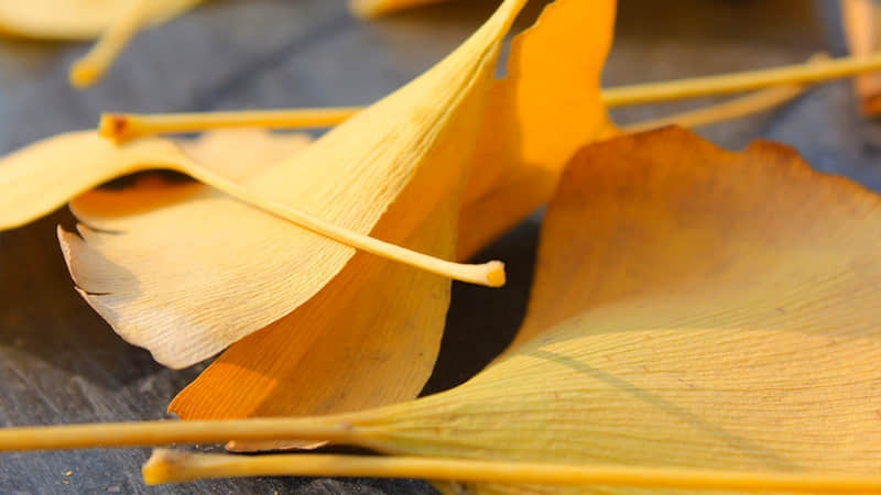 “好文案,一句就够了,平安知足旺自己~”_wishdown.com “好文案,一句就够了,平安知足旺自己~”_wishdown.com