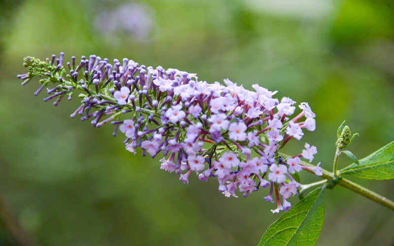 �����İ���һ��͹��ˣ�ƽ��֪�����Լ�����