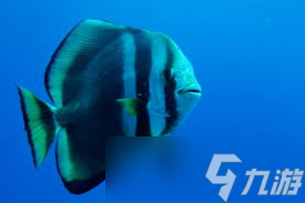 Բ�����������ģ��ʲô