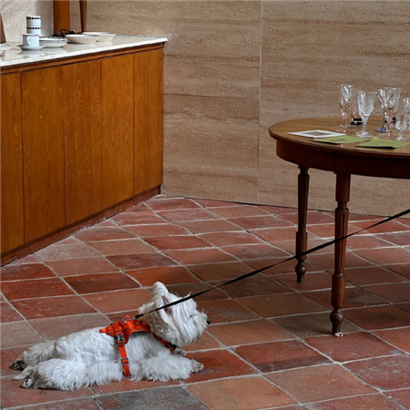 оƬͼƬ�˸���������(��ѡ100��)