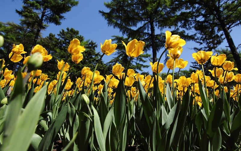 ������ô����Ц��������Ȧ