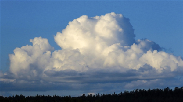 ����Ԥ���¹ع��� �й�Ҫ�����������ƽ��������ݼ��з�