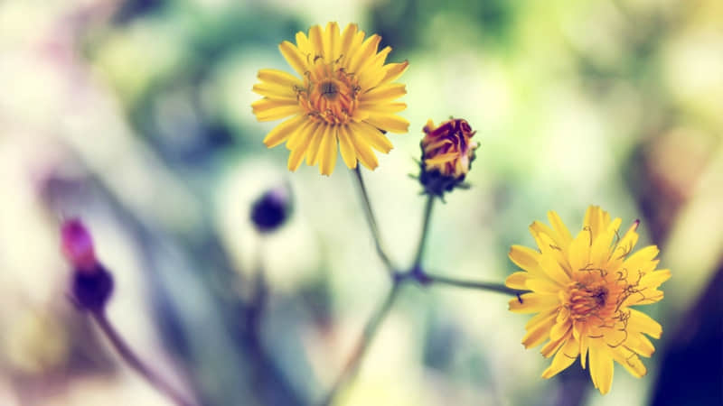 �����Լ���һ��Ҫ����9���¡���