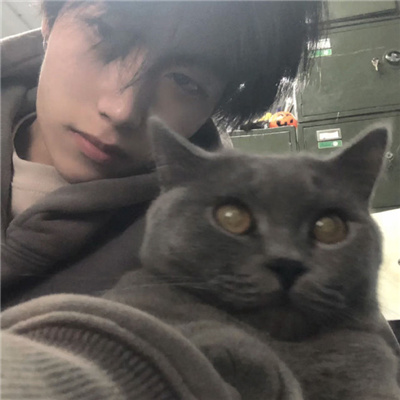 С̫������ͷ����������(��ѡ100��)