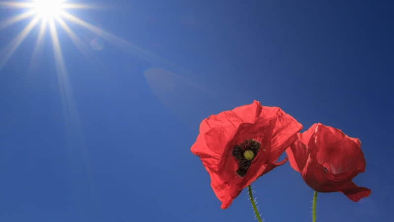 ��2?2?/??.????ʮ���£��뷢һ����һ��������Ȧ��