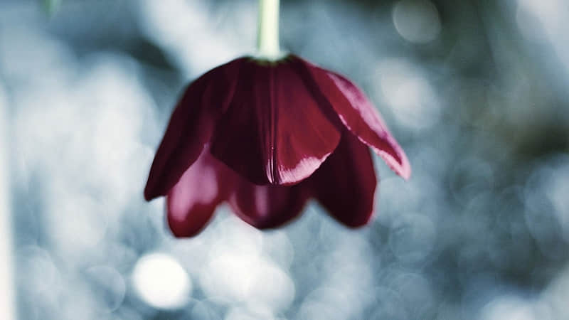 Ů���ش棺8���ͳɱ������ı���ϰ��