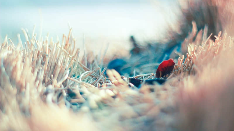 ����Ƥ�����ң���������Ȧ��