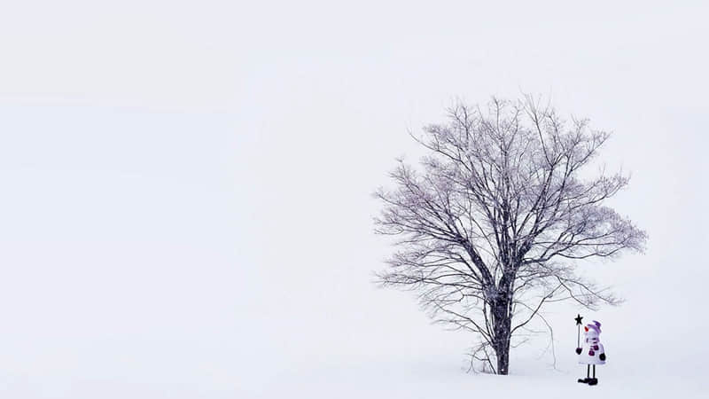 ����һ��ȥ�������ѿ���Ц������