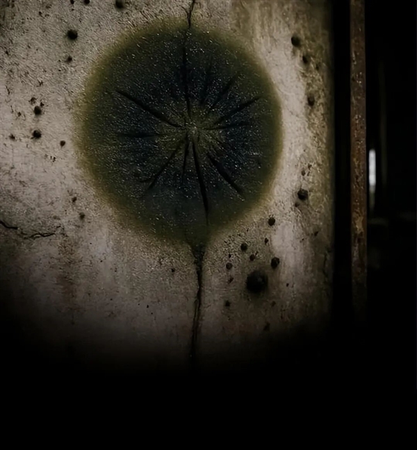 �ж�ŵ�������������ѧ������ǿ���� �������÷������δ֪�Ĵ�л