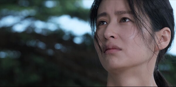 不完美受害人第14集剧情介绍_wishdown.com 不完美受害人第14集剧情介绍_wishdown.com