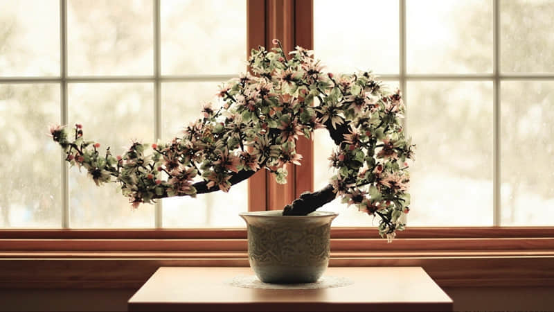 ��Ƥ��û�ߵĸ�Ц�İ���Ц�����ˡ�