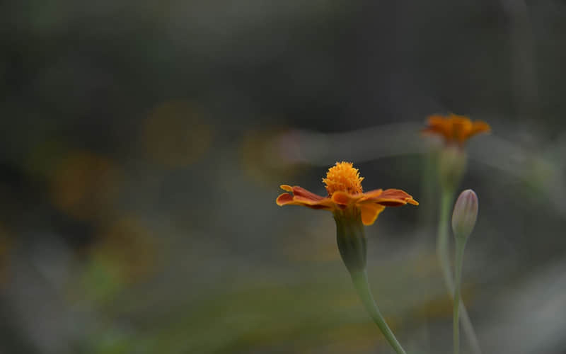 ��2?2?/??.????����������Ȧ��??????~��??��