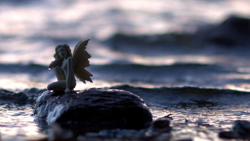 "���ţ���̫������Ҫ��Ȥһ��"??