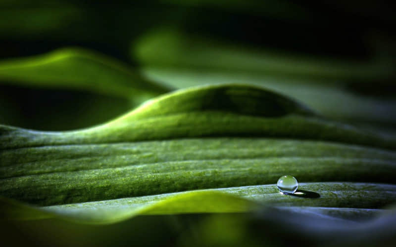 ��12�£������Լ���һ�仰��??