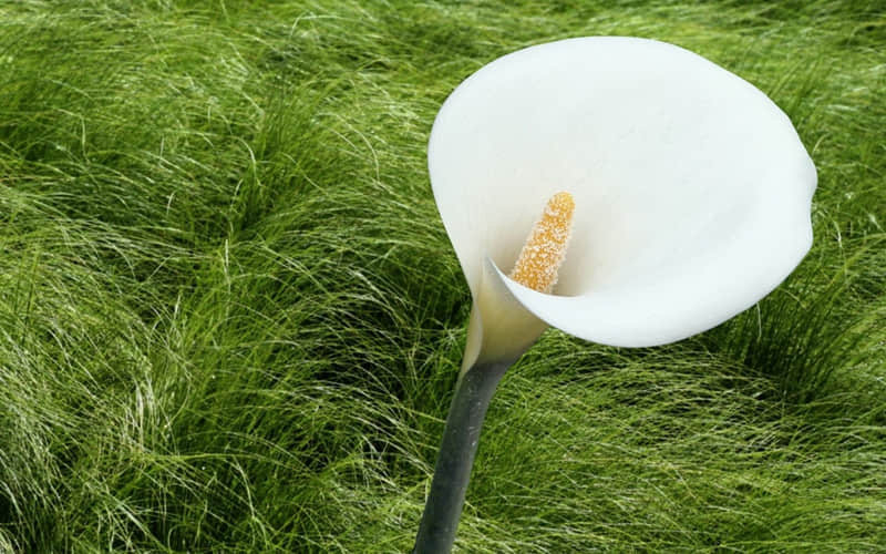 “2?2? 够你发很久的朋友圈文案 ”_wishdown.com “2?2? 够你发很久的朋友圈文案 ”_wishdown.com