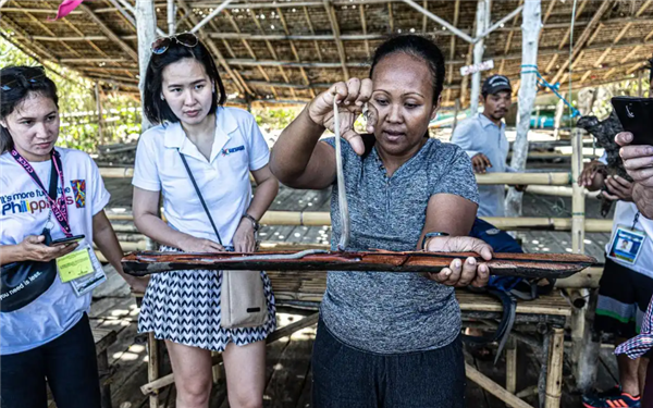 船蛆:地球上最独特的动物群体之一_wishdown.com 船蛆:地球上最独特的动物群体之一_wishdown.com