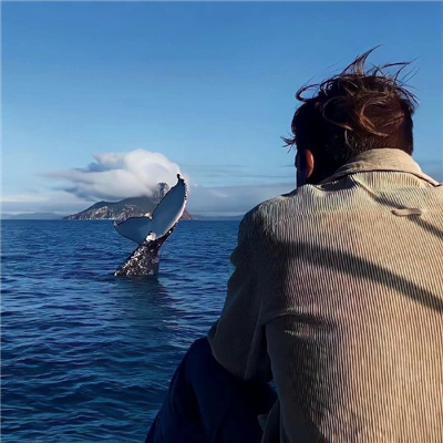 霸气的男生网名4个字(精选100个)_wishdown.com 霸气的男生网名4个字(精选100个)_wishdown.com