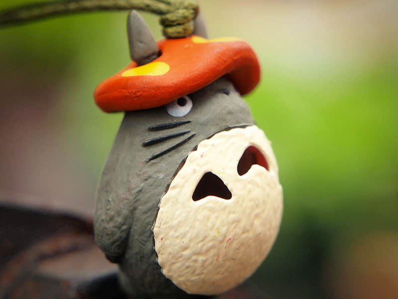 ����ҹ���ĸ����������İ���