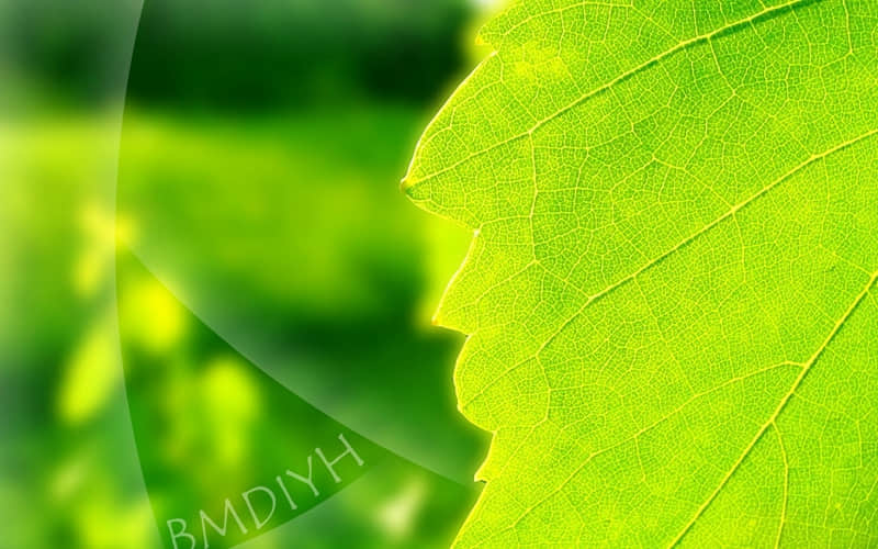 ��2?2?���΢�źܻ��һ�λ�����??