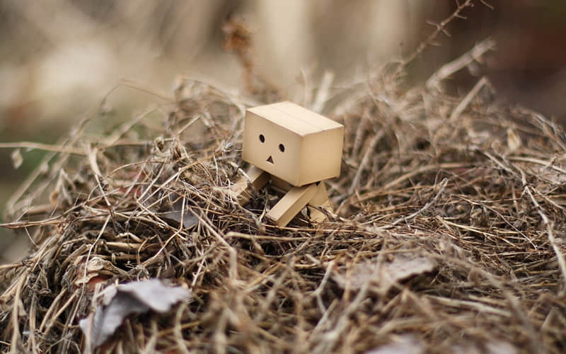 “挑一句,笑死朋友圈的搞笑句子”_wishdown.com “挑一句,笑死朋友圈的搞笑句子”_wishdown.com