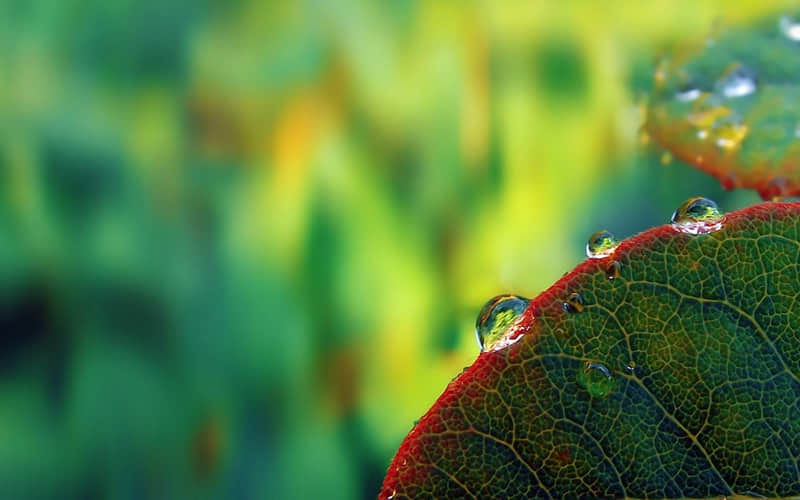 “挑一句,笑死朋友圈的搞笑句子”_wishdown.com “挑一句,笑死朋友圈的搞笑句子”_wishdown.com