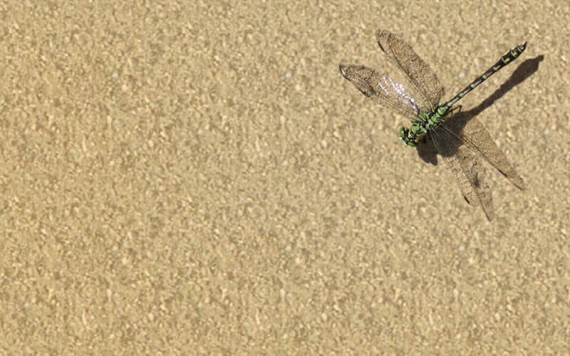 “挑一句,笑死朋友圈的搞笑句子”_wishdown.com “挑一句,笑死朋友圈的搞笑句子”_wishdown.com