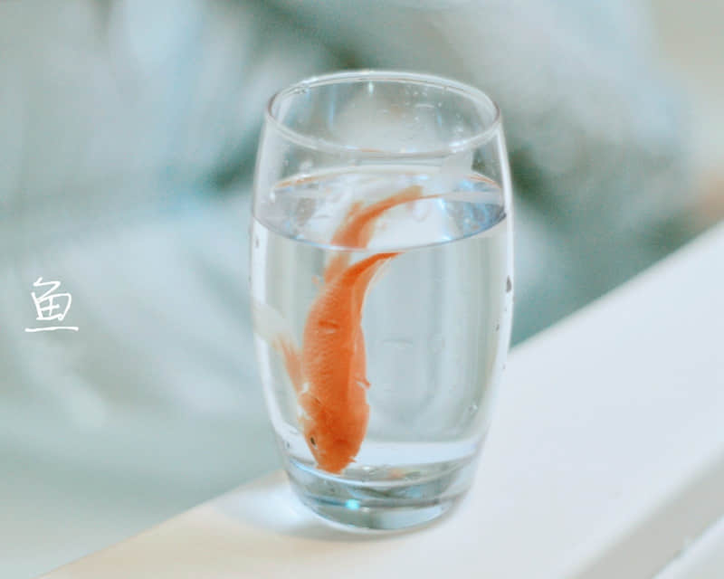 “挑一句,笑死朋友圈的搞笑句子”_wishdown.com “挑一句,笑死朋友圈的搞笑句子”_wishdown.com