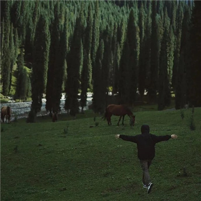 给鸟取名字网名大全男生(精选100个)_wishdown.com 给鸟取名字网名大全男生(精选100个)_wishdown.com