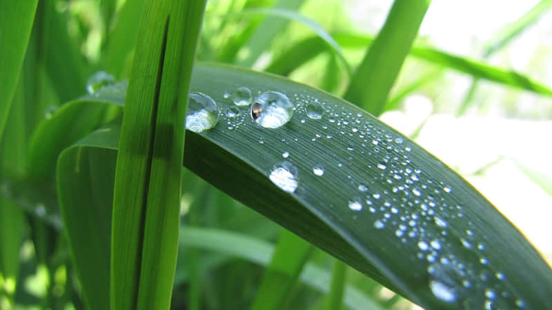 “调戏他一句'我想你了'”??????????_wishdown.com “调戏他一句'我想你了'”??????????_wishdown.com