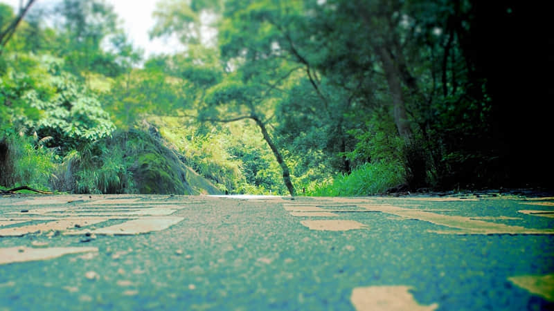 “男人转账后,最想听的话”??_wishdown.com “男人转账后,最想听的话”??_wishdown.com