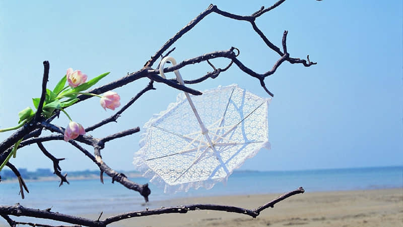 “松弛感的朋友圈,高级又治愈!”_wishdown.com “松弛感的朋友圈,高级又治愈!”_wishdown.com