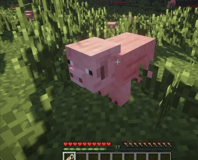 我的世界如何让生物倒起来2026_wishdown.com 我的世界如何让生物倒起来2026_wishdown.com