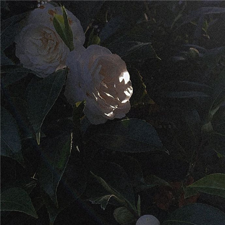 王者伤感网名男生网名(精选100个)_wishdown.com 王者伤感网名男生网名(精选100个)_wishdown.com