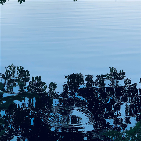 男生名字网名伤感两字含义(精选100个)_wishdown.com 男生名字网名伤感两字含义(精选100个)_wishdown.com