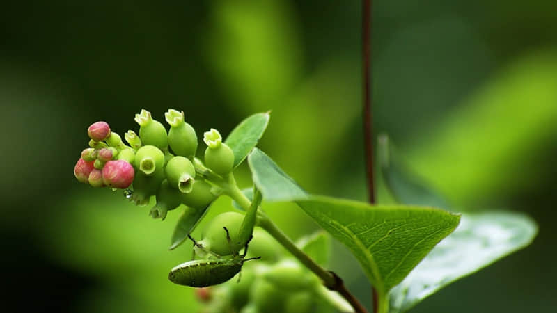 �������ö��ܾõ��ɳڸ��İ���