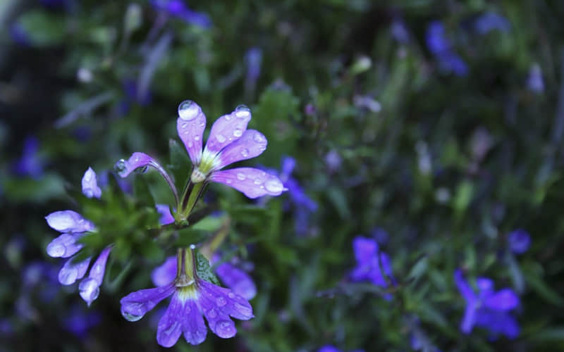 “人呐,聊天你要带点梗~”_wishdown.com “人呐,聊天你要带点梗~”_wishdown.com