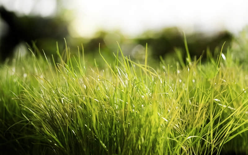 “人呐,聊天你要带点梗~”_wishdown.com “人呐,聊天你要带点梗~”_wishdown.com