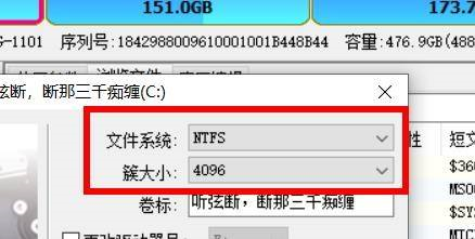 diskgenius如何格式化分区_wishdown.com diskgenius如何格式化分区_wishdown.com