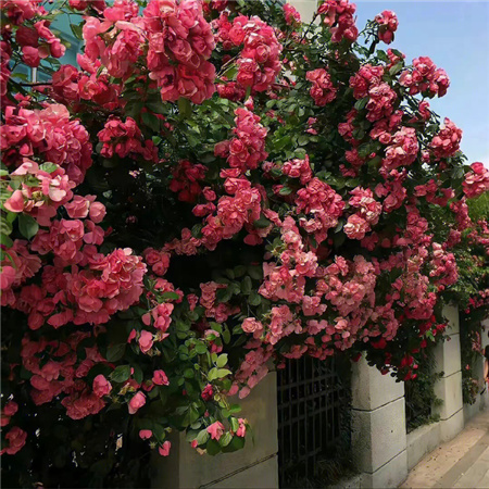 男生游戏网名伤感4字(精选100个)_wishdown.com 男生游戏网名伤感4字(精选100个)_wishdown.com