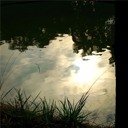 男生网名阳光五字伤感(精选100个)_wishdown.com 男生网名阳光五字伤感(精选100个)_wishdown.com