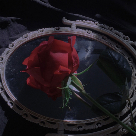 ���߰���id�˸���������(��ѡ100��)