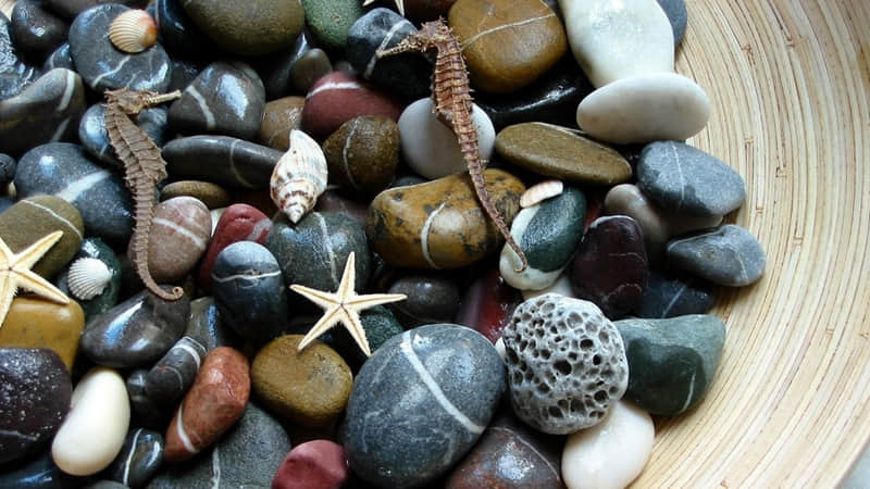 “ 2?2?今年下半年,最走红的一句话~”??_wishdown.com “ 2?2?今年下半年,最走红的一句话~”??_wishdown.com