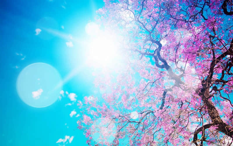 "��Խ��������ĳ��Խ�̲�ס����ϵ��"