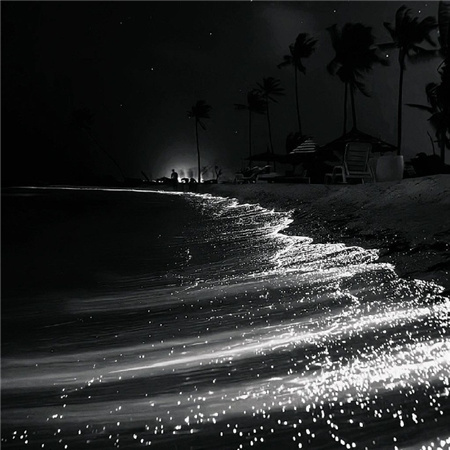 救护车图片伤感网名男生(精选100个)_wishdown.com 救护车图片伤感网名男生(精选100个)_wishdown.com