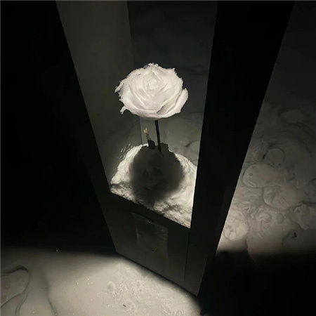 清新忧伤网名大全男生(精选100个)_wishdown.com 清新忧伤网名大全男生(精选100个)_wishdown.com