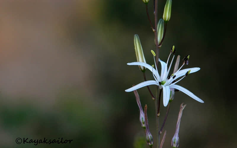 ��??�B?�B? ???????? ?????????1?? ??�����������Լ��Ľ�䣬̫�в���????��