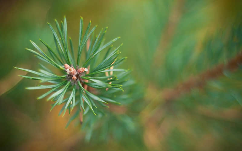 "一个女生,朋友圈这么发,通透又治愈"_wishdown.com "一个女生,朋友圈这么发,通透又治愈"_wishdown.com