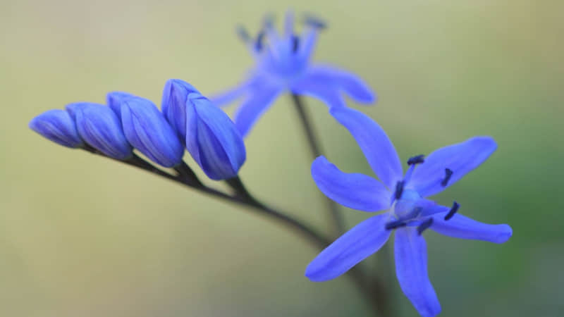 ���簲��ô������ů��������